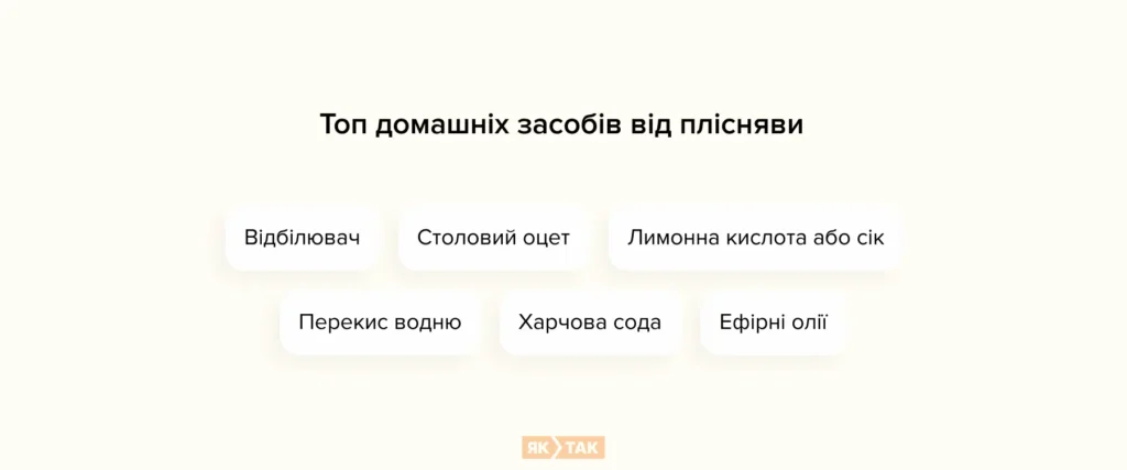 Топ домашніх засобів від плісняви