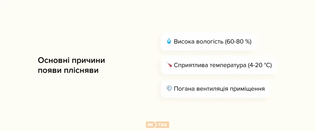 Основні причини появи плісняви
