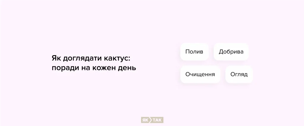 Як доглядати кактус: поради на кожен день
