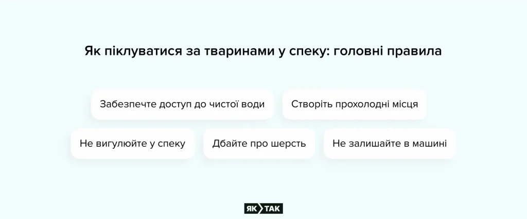 Як піклуватися за тваринами у спеку