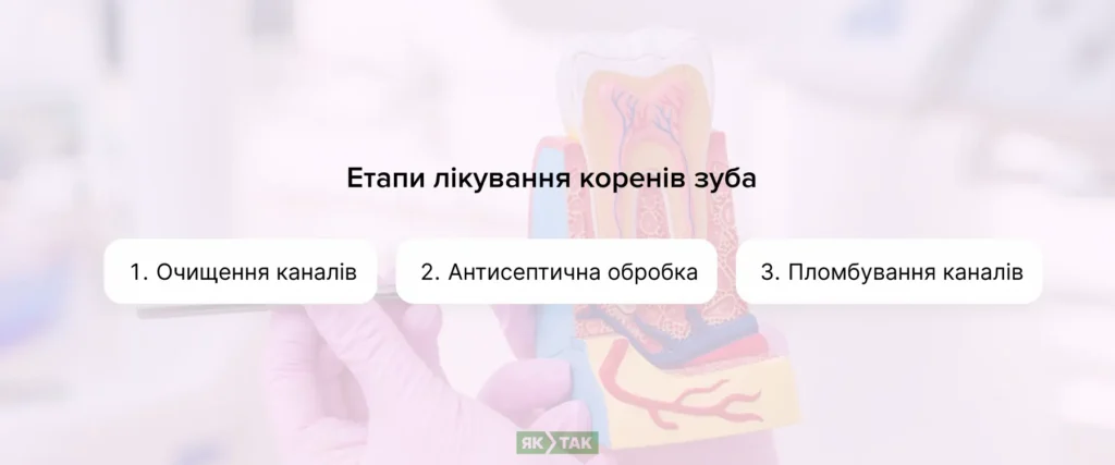 Три етапи лікування коренів зуба