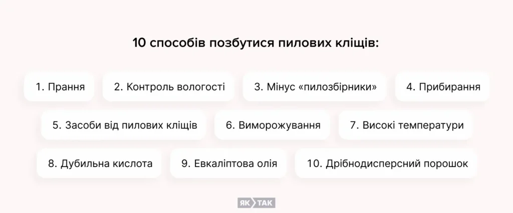 10 способів позбутися пилових кліщів